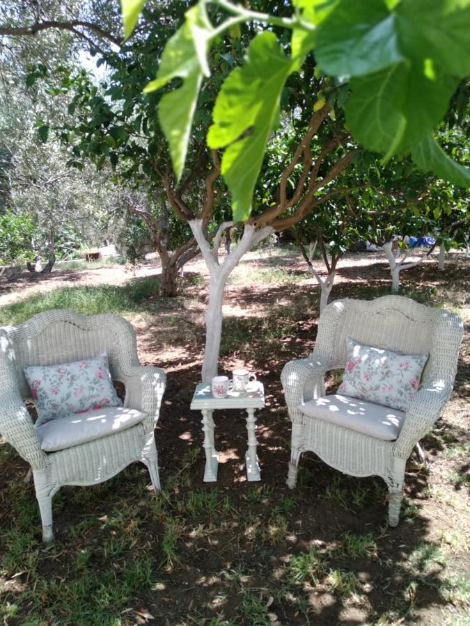 Nikis Home Ρέθυμνο Εξωτερικό φωτογραφία