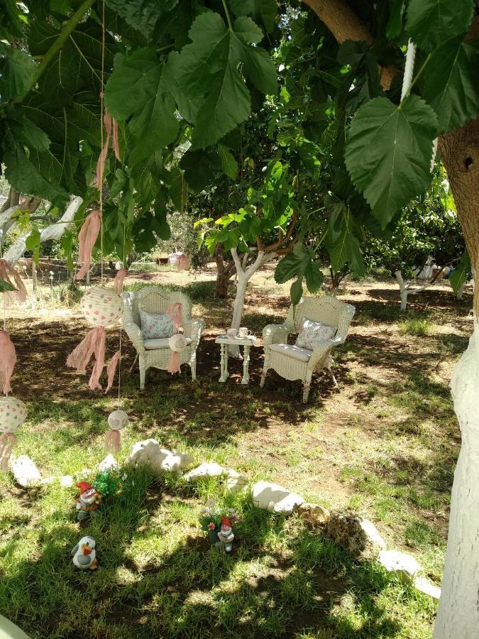 Nikis Home Ρέθυμνο Εξωτερικό φωτογραφία